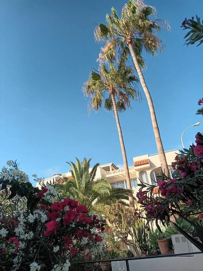 Great Oportunity Costa Adeje Holiday Apartment First Sea Line Free Wifi Callao Salvaje